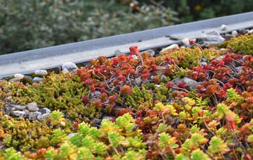 the cost of Maplehurst green roof installation